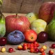 Фруктові дерева